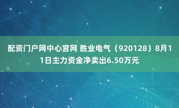 配资门户网中心官网 胜业电气（920128）8月11日主力资金净卖出6.50万元