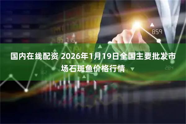 国内在线配资 2026年1月19日全国主要批发市场石斑鱼价格行情