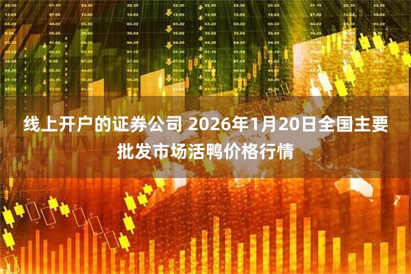 线上开户的证券公司 2026年1月20日全国主要批发市场活鸭价格行情